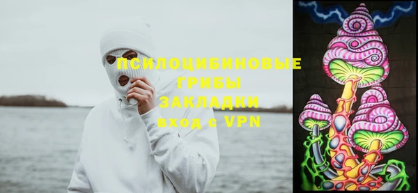 прущие грибы Алексин