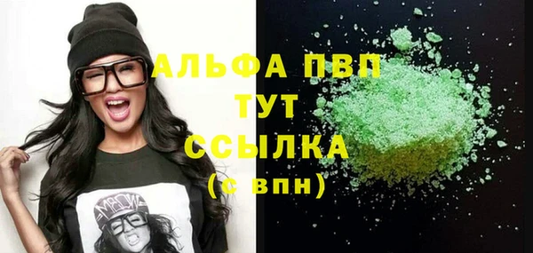 прущие грибы Покачи